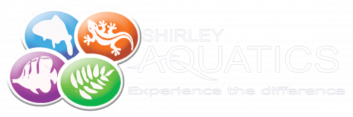 Full Logo no background white writing (1)