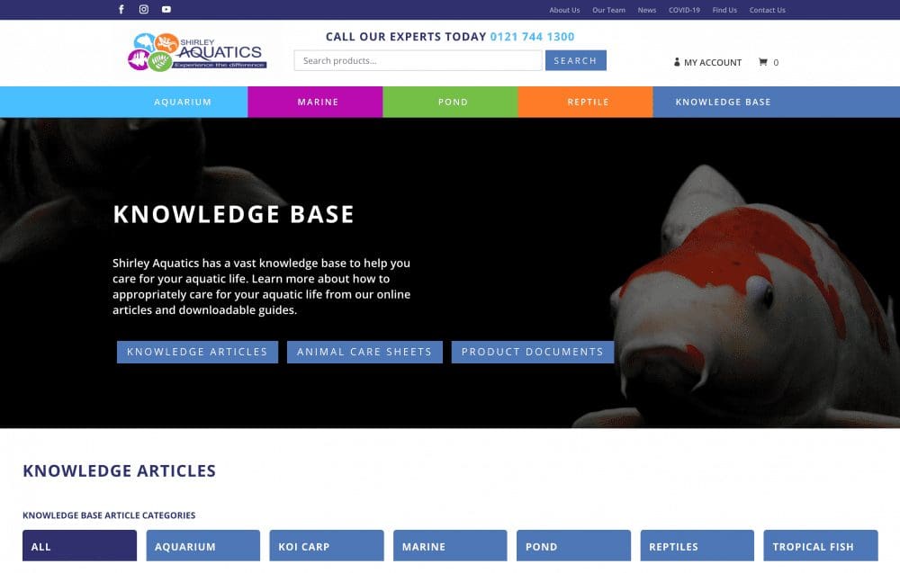 AdobeStock_243631286_Preview